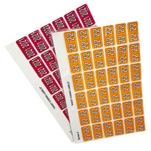 Load image into Gallery viewer, Rolls SERIES2YEARSHT Colour Coded Year Labels Series 2 Pack of 5 sheets
